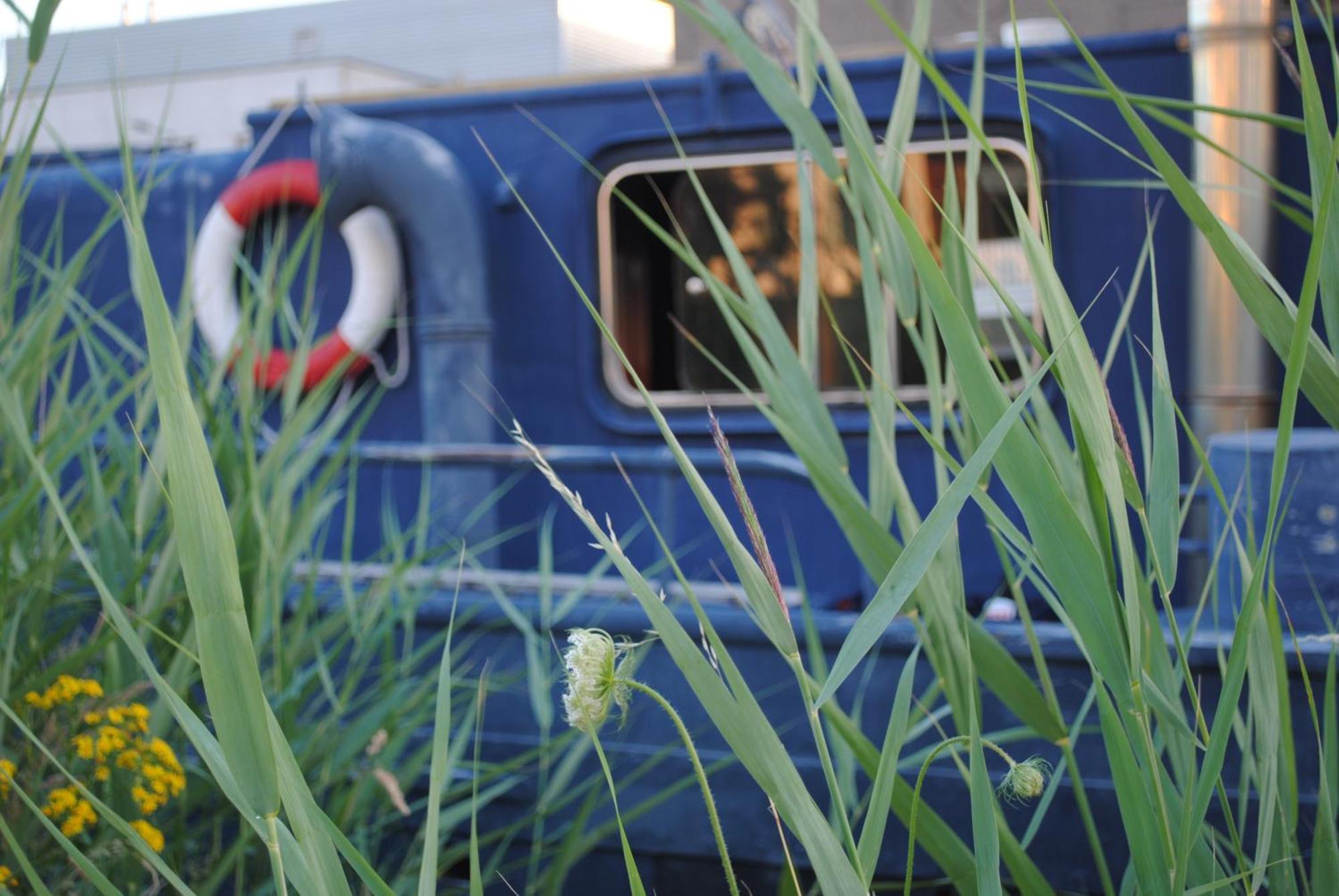 Boat & Breakfast Bellevue Gante Exterior foto